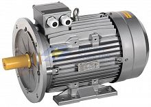 Электродвигатель АИС DRIVE 3ф. 355M6 660В 160кВт 1000об/мин 2081 IEK AIS355-M6-160-0-1020